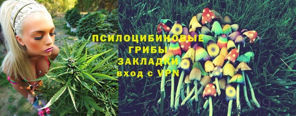 Альфа ПВП Абдулино