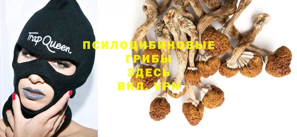 бутират Абаза
