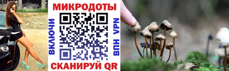 Галлюциногенные грибы Magic Shrooms  МЕГА зеркало  Кизляр 